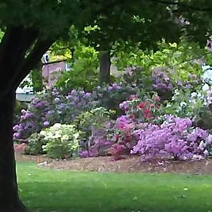 Meet your Posher, Catherine